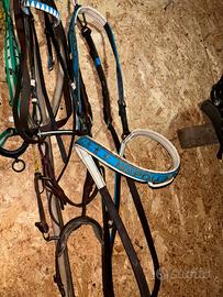 Avcessori per cavalli