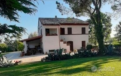 Last minute Casale Marche per 10/15