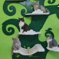 Gattini di razza Scottish