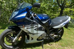 Suzuki gs500f