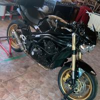 Triumph Speed Triple 1050 - 2005