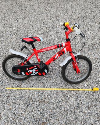 Bicicletta Montano
