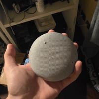 google home