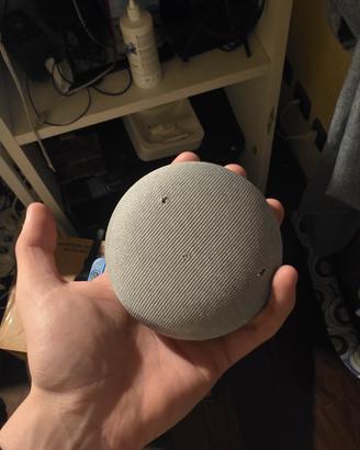 google home