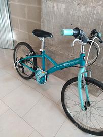 Bicicletta 20