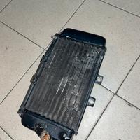 Radiatore scooter (nrg)