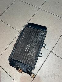 Radiatore scooter (nrg)