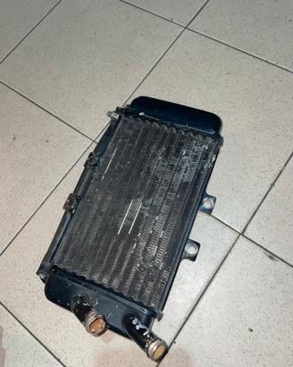 Radiatore scooter (nrg)
