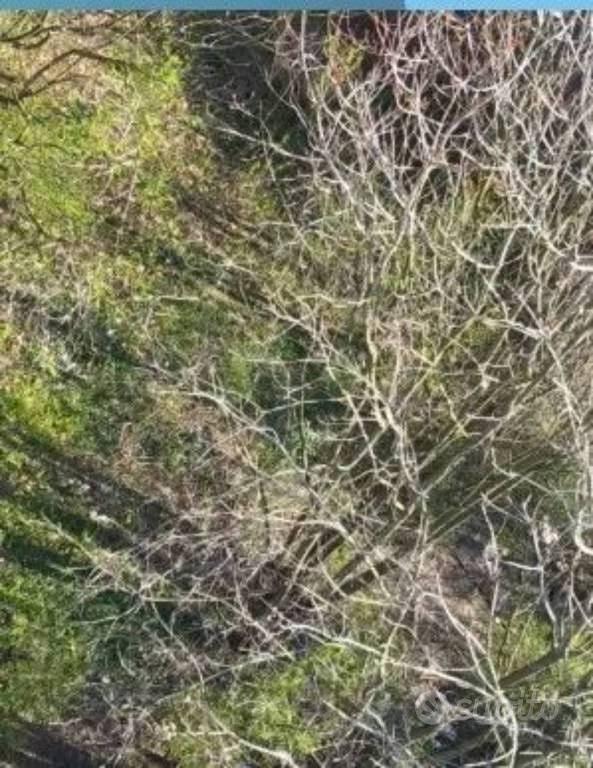 Immobile in asta di 2627 m² a Milano - Vista 4