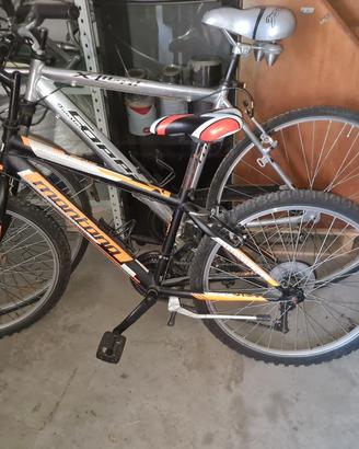biciclette 