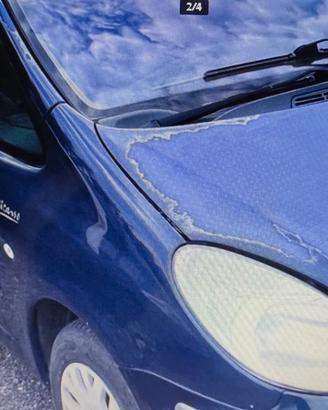 Pezzi di ricambio auto CITROEN XSARA PICASSO