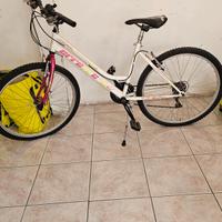 Bici MTB errevi Tribal 26"