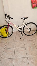 Bici MTB errevi Tribal 26"