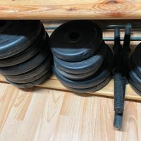 Due manubri con vari pesi