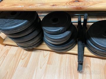 Due manubri con vari pesi