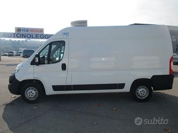 Citroen jumper L2 H2 FRIGO FNAX ATP 2031 RETE STRA