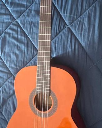 Chitarra Acustica EKO Nuova