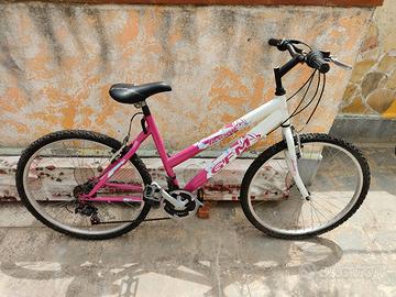 bicicletta 