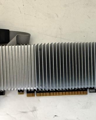 Scheda video MSI Nvidia GeForce 210 1GB HDMI