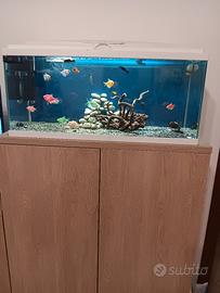 acquario 80 litri 