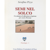 Semi nel Solco di Serafino Pizzo