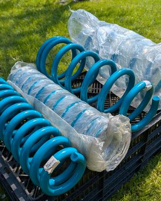 Molle Dobinsons C59-314/C59-329