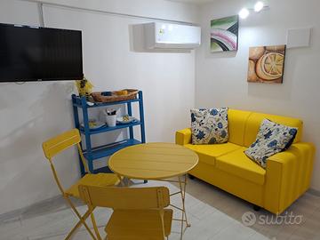 Monolocale Ristrutturato Centro Storico