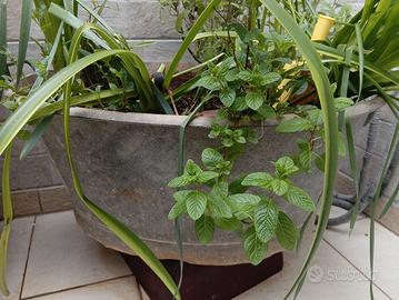 fioriera in alluminio antica 