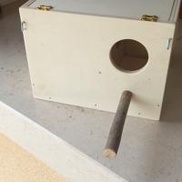 2 nidi per Inseparabili 