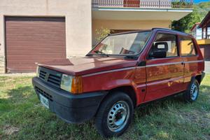Panda 141 Young