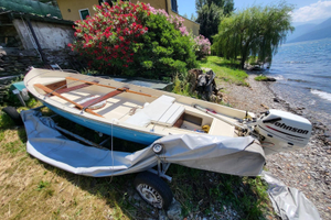 Barca con motore 15cv johnson