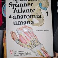 Atlante di Anatomia Umana Spalteholz Spanner