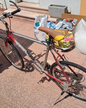 bicicletta vintage trek 26 pollici