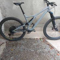 mtb specializer 