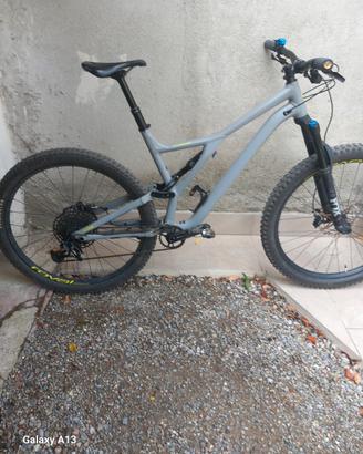 mtb specializer 