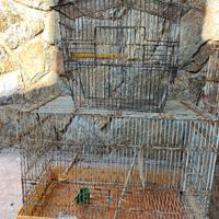 Gabbie per volatili
