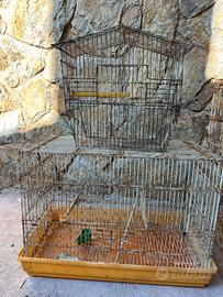 Gabbie per volatili