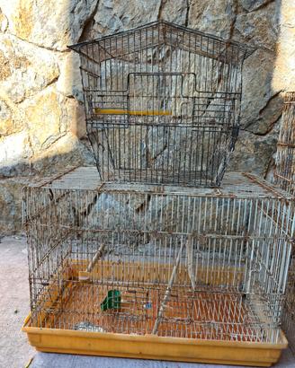 Gabbie per volatili