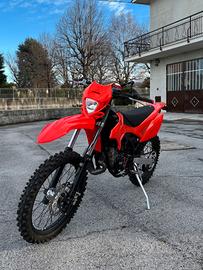 Beta rr50