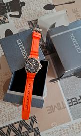 Citizen Promaster 