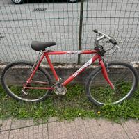Bici da uomo