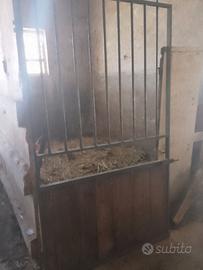porta box cavalli