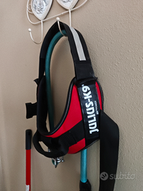 Pettorina Julius -k9