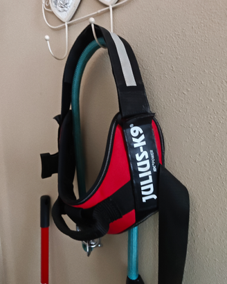 Pettorina Julius -k9