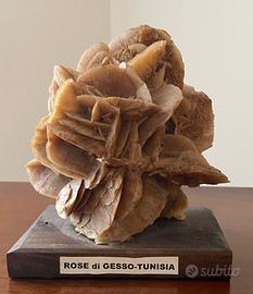 Rosa del deserto - Tunisia