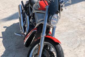 Harley-Davidson Screamin Eagle