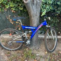 Mountain bike
