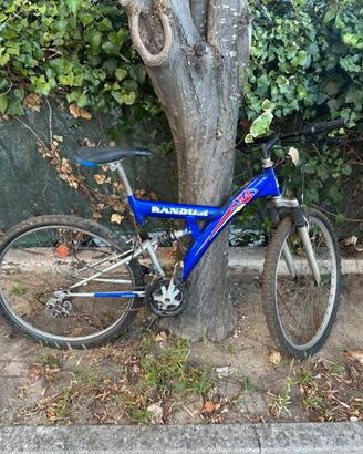 Mountain bike