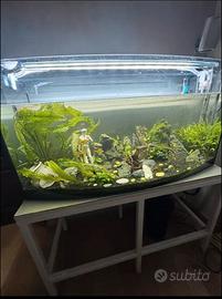 acquario 180 lt
