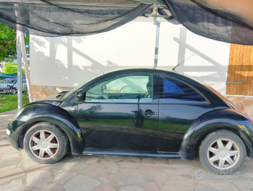 Volkswagen New Beetle (9c)